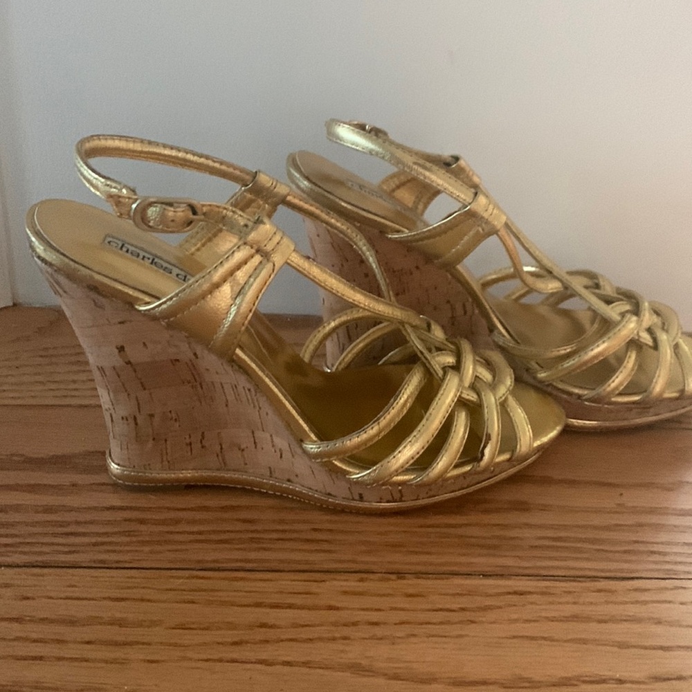 Charles David Platform Wedges
